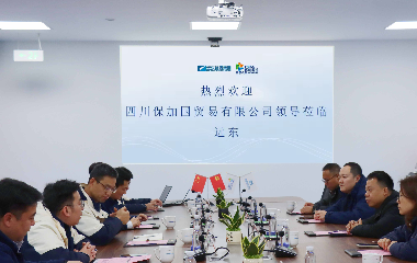 跨界聚力?智啟新程|瀘州老窖集團一行赴遠東股份宜賓智能產(chǎn)業(yè)園共探合作新機